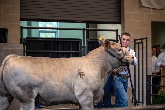 Big Tex Youth Auction winner