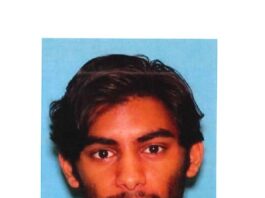 NOAH SOLOMON GULZAR