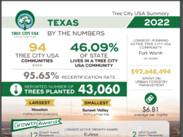 Tree City USA Texas infographic 2022