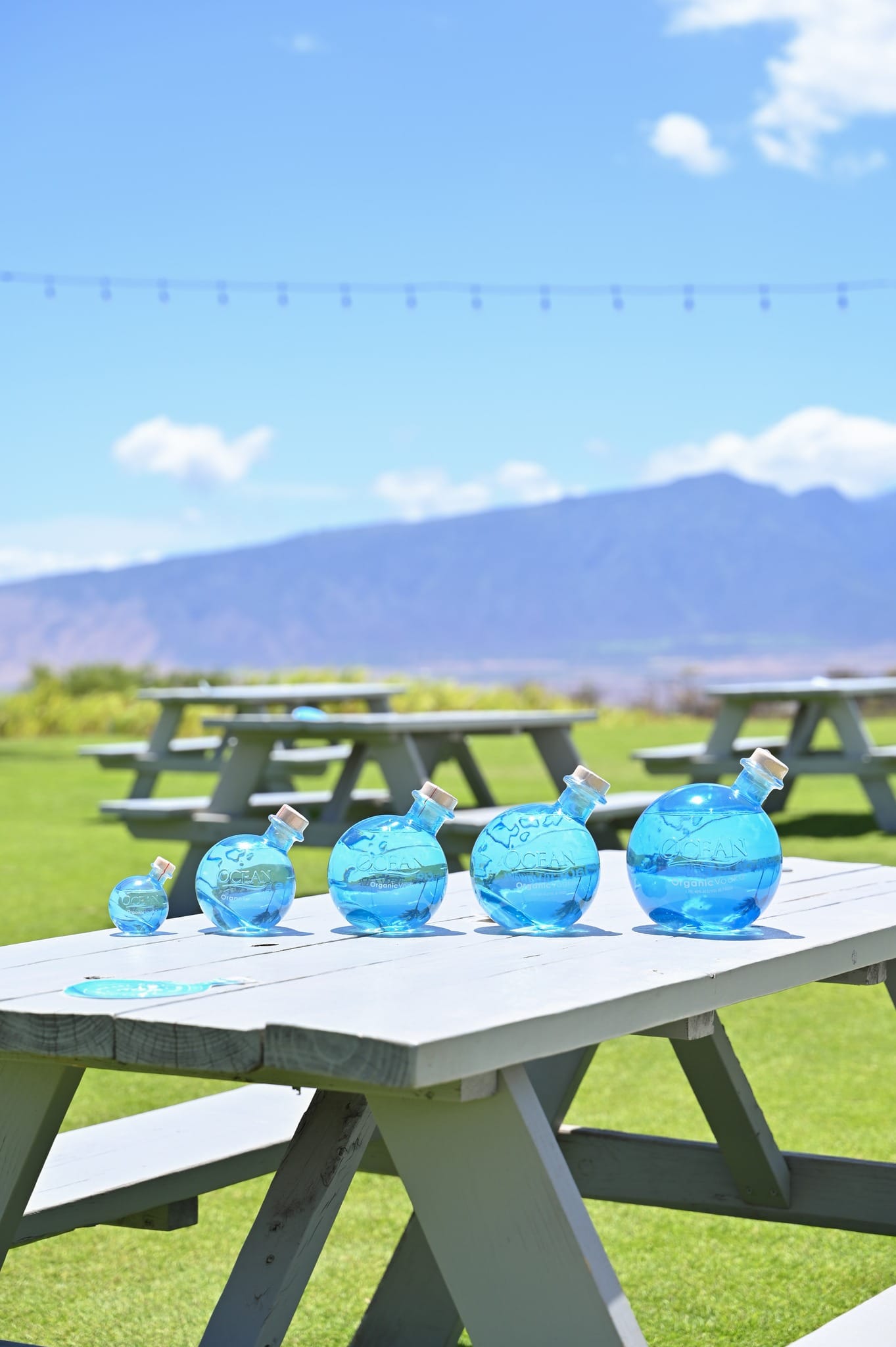 Ocean vodka bottles on picnic table
