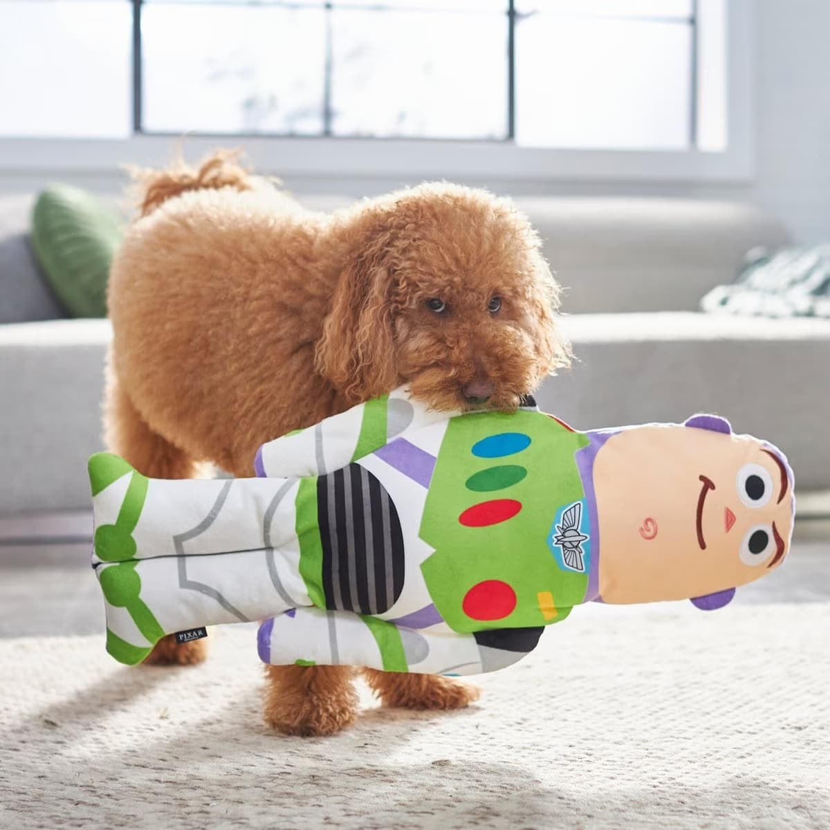 dog with Buzz Lightyear stuffed toy