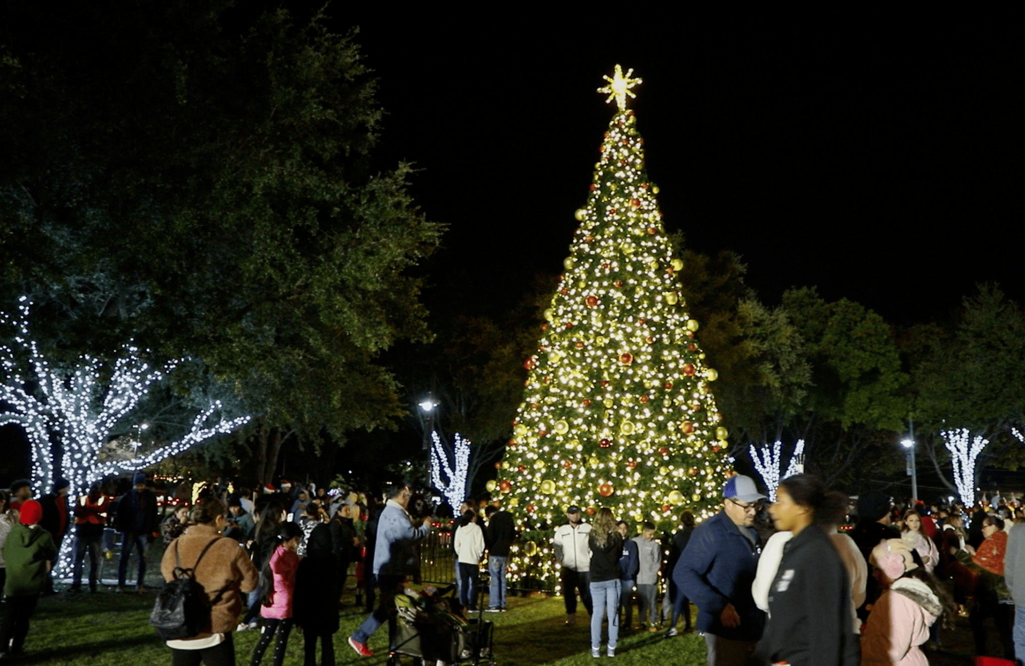 Christmas tree at Armstrong Park