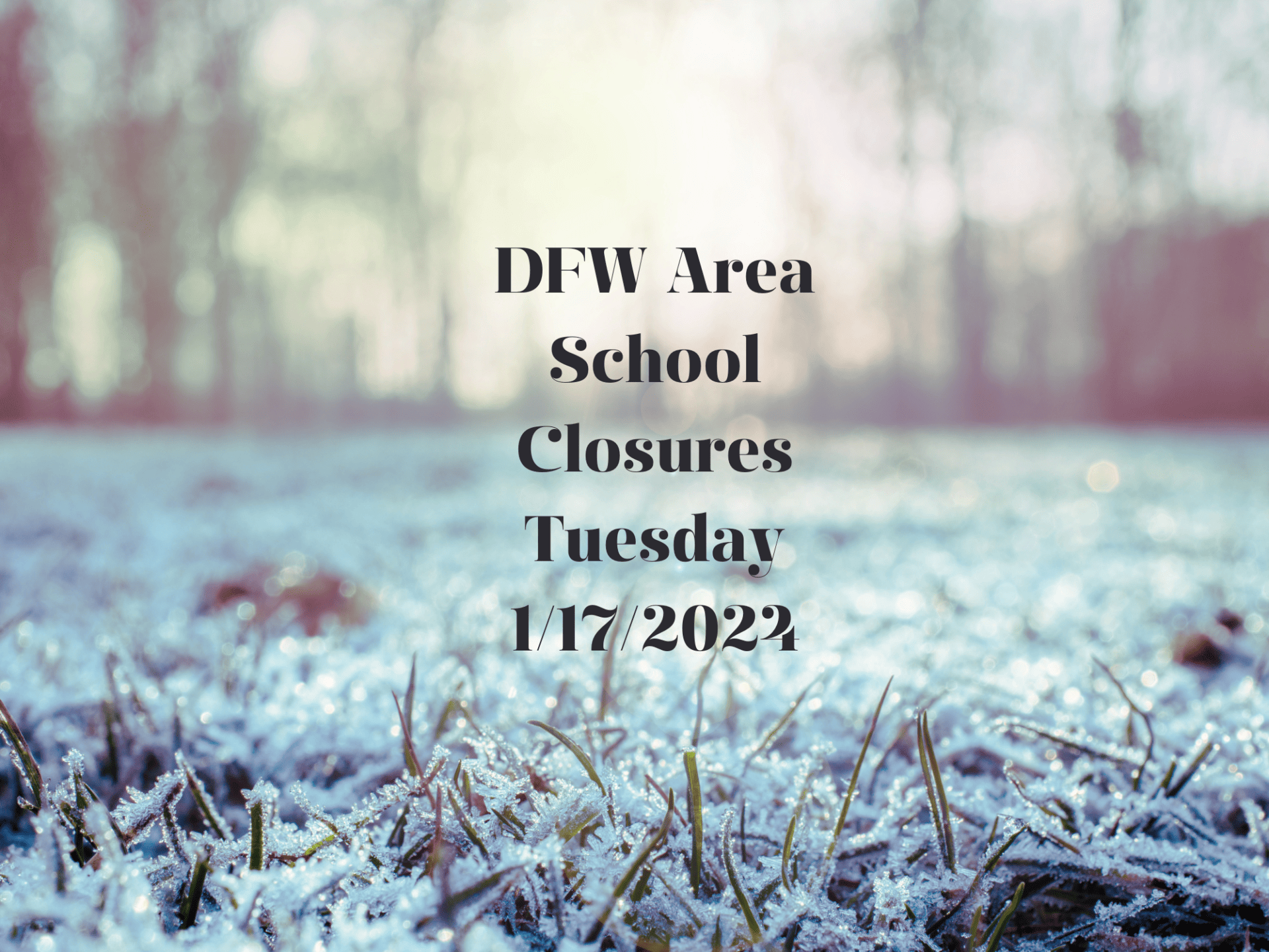 DFW School Closures For January 16, 2024 Focus Daily News