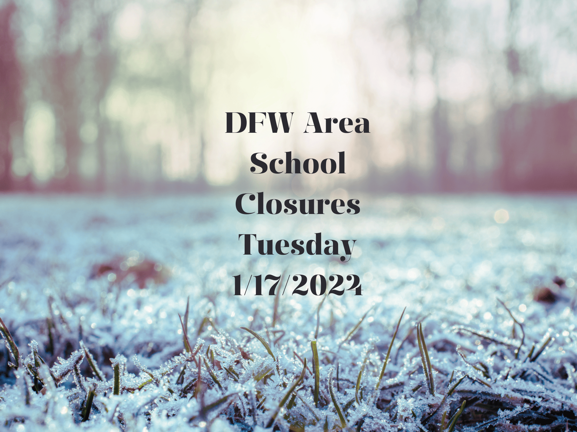 DFW School Closures For January 16, 2024 Focus Daily News