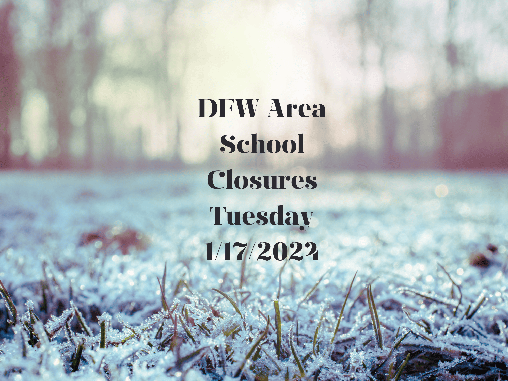 School Closures For January 16 2025 Nyc Debora Rosabella