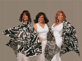 Yellow Rose Gala entertainers