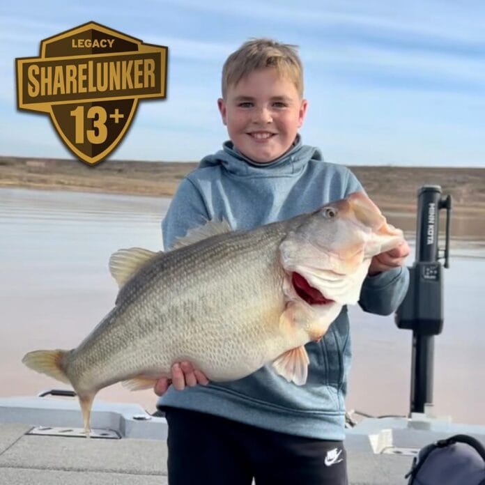 kid holding largemouth bass