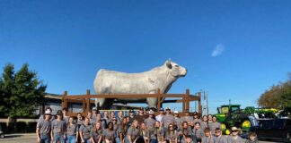Midlothian’s Long-Standing FFA Legacy: From 1937 Roots to State Leadership, Inspiring Future Generations large group of students by cow statue