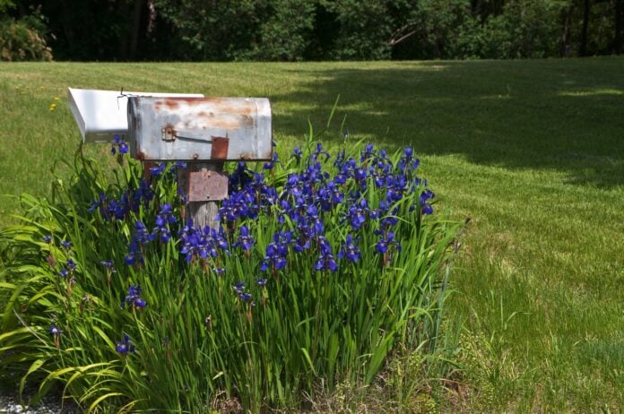 Rural Mail Box mailboxes