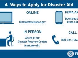FEMA graphic