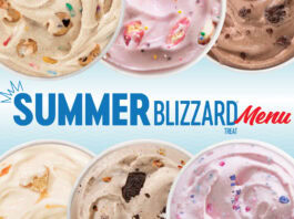 blizzards from DQ