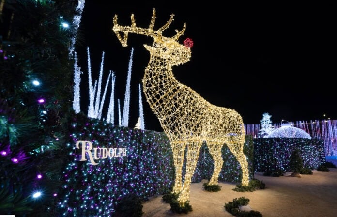 Rudolph in lights