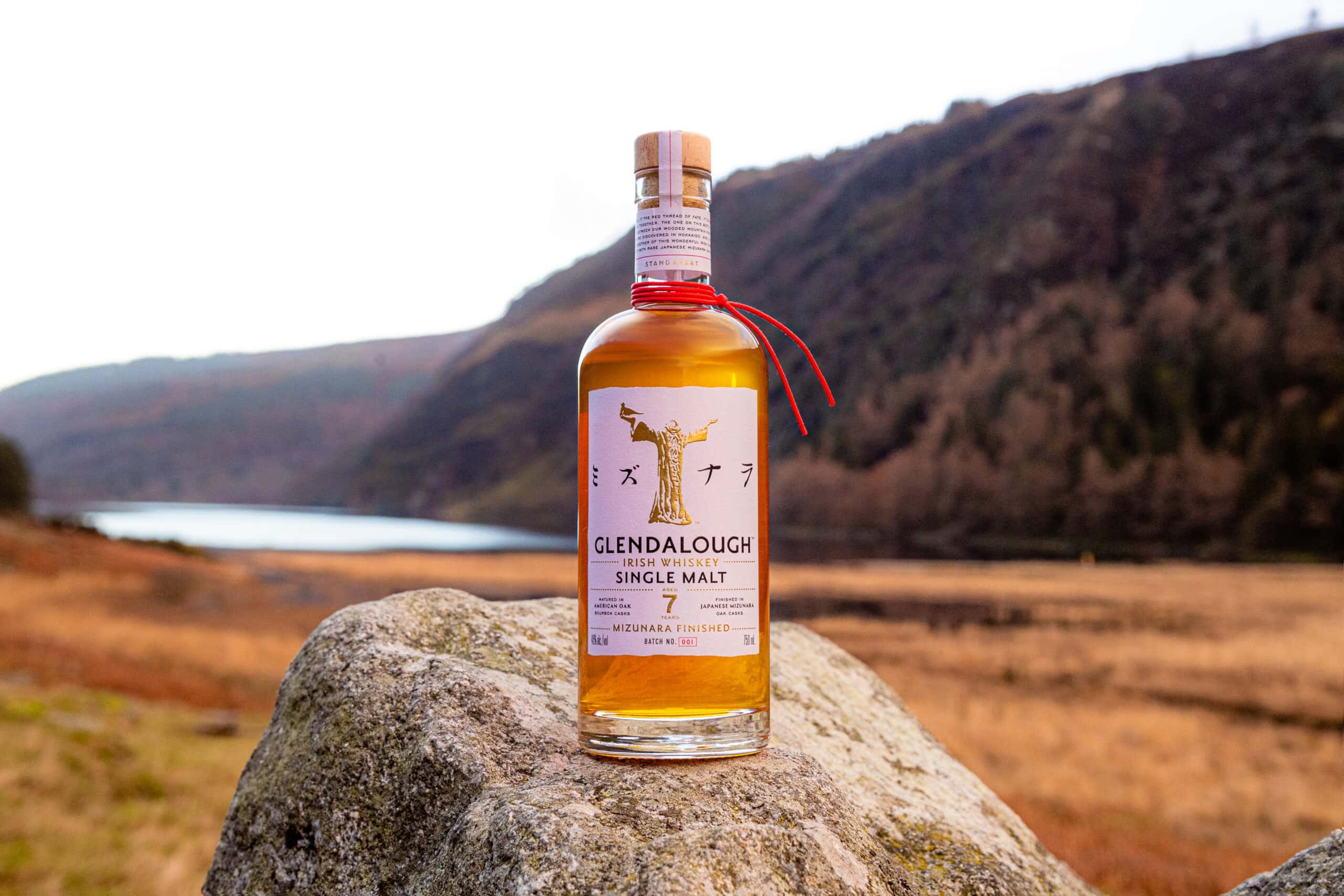 Mizunara in Wicklow
