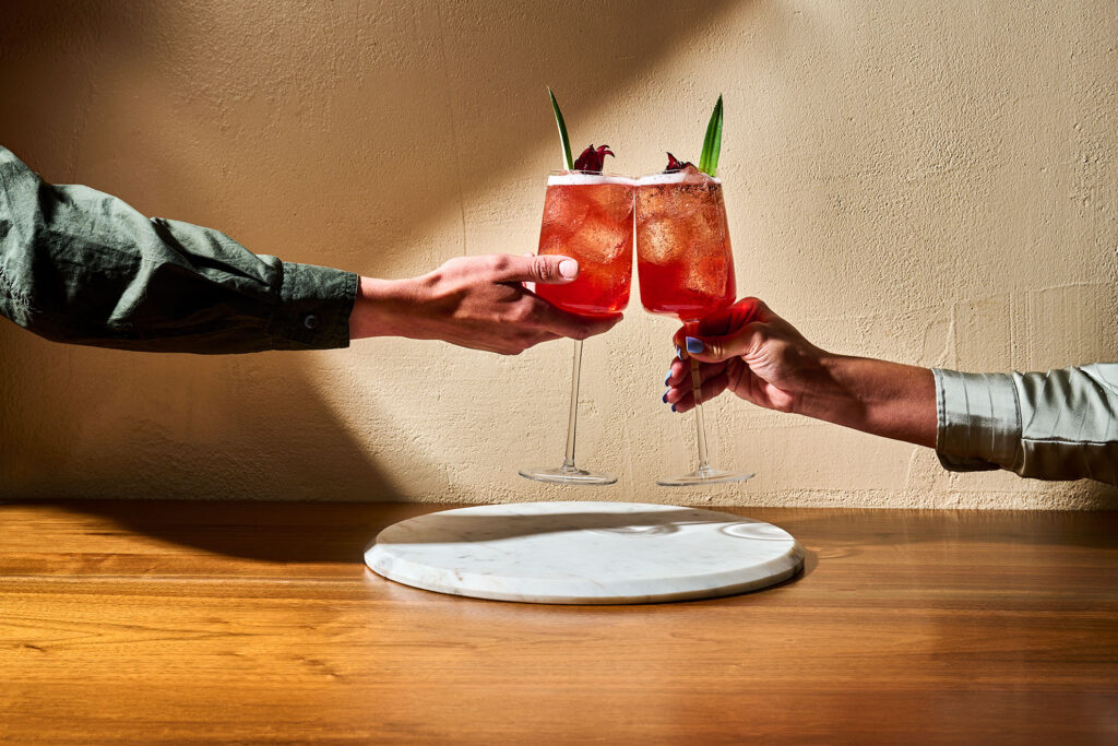 hibiscus spritz