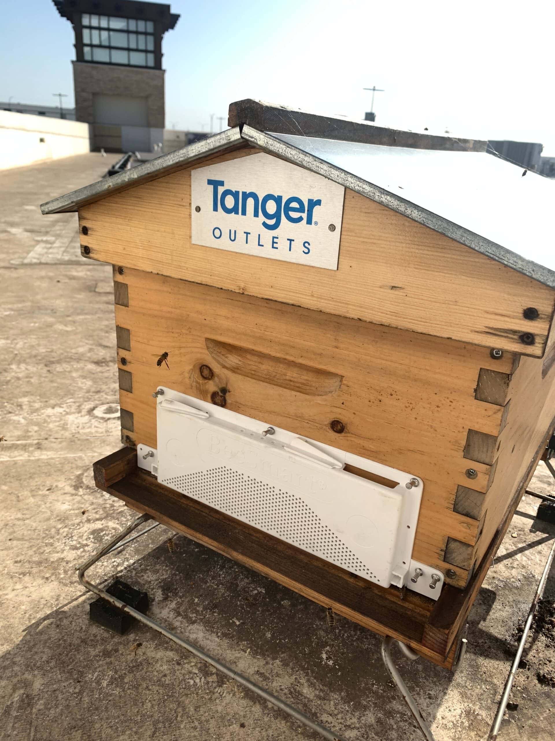 Fort Worth shopping center offers beekeeper workshops, bee-themed activities and family fun