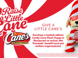 raising can'e holiday plush