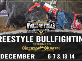 Ultimate bullfighting graphc