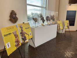 Out of Africa exhibit