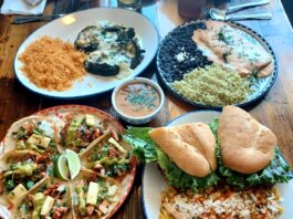 Blue Goose plates