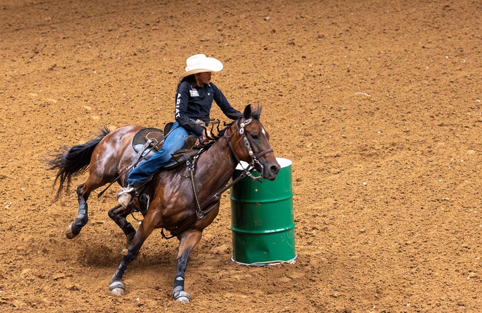 Fair Park Horse shows