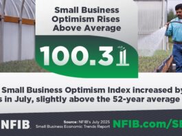 small business index graphic