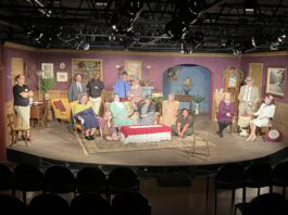 Bull; in a China Shop company