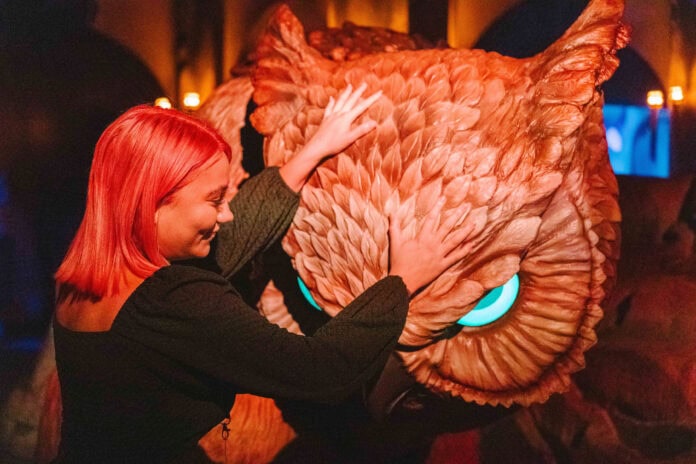 DSC_9262 - PREFFERED dragon