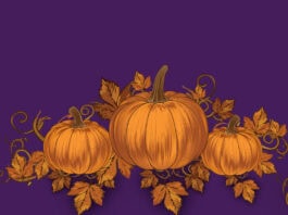 Scarborough Hollow Fall Festival