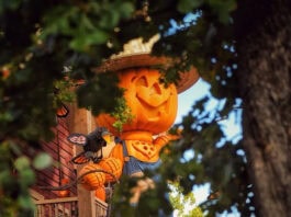Silver Dollar City Branson pumpkins