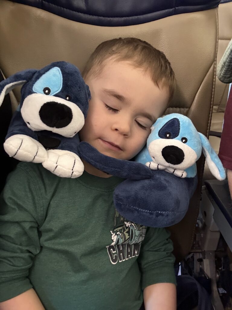 kid with puppy travel pillow