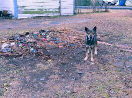 Billy the Kid Film Festival Opens Nov. 7 in Hico, Texas billy the kid film festival