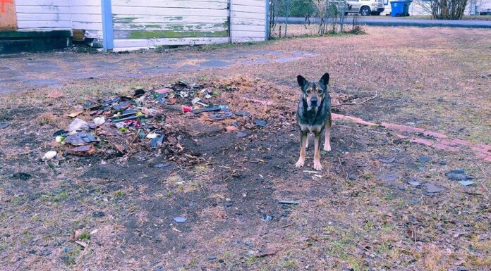 Billy the Kid Film Festival Opens Nov. 7 in Hico, Texas billy the kid film festival