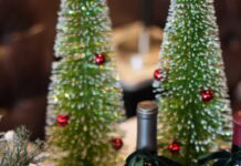 It’s Christmastime in DFW Christmastime in DFW