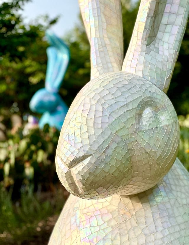Dallas Arboretum bunnies