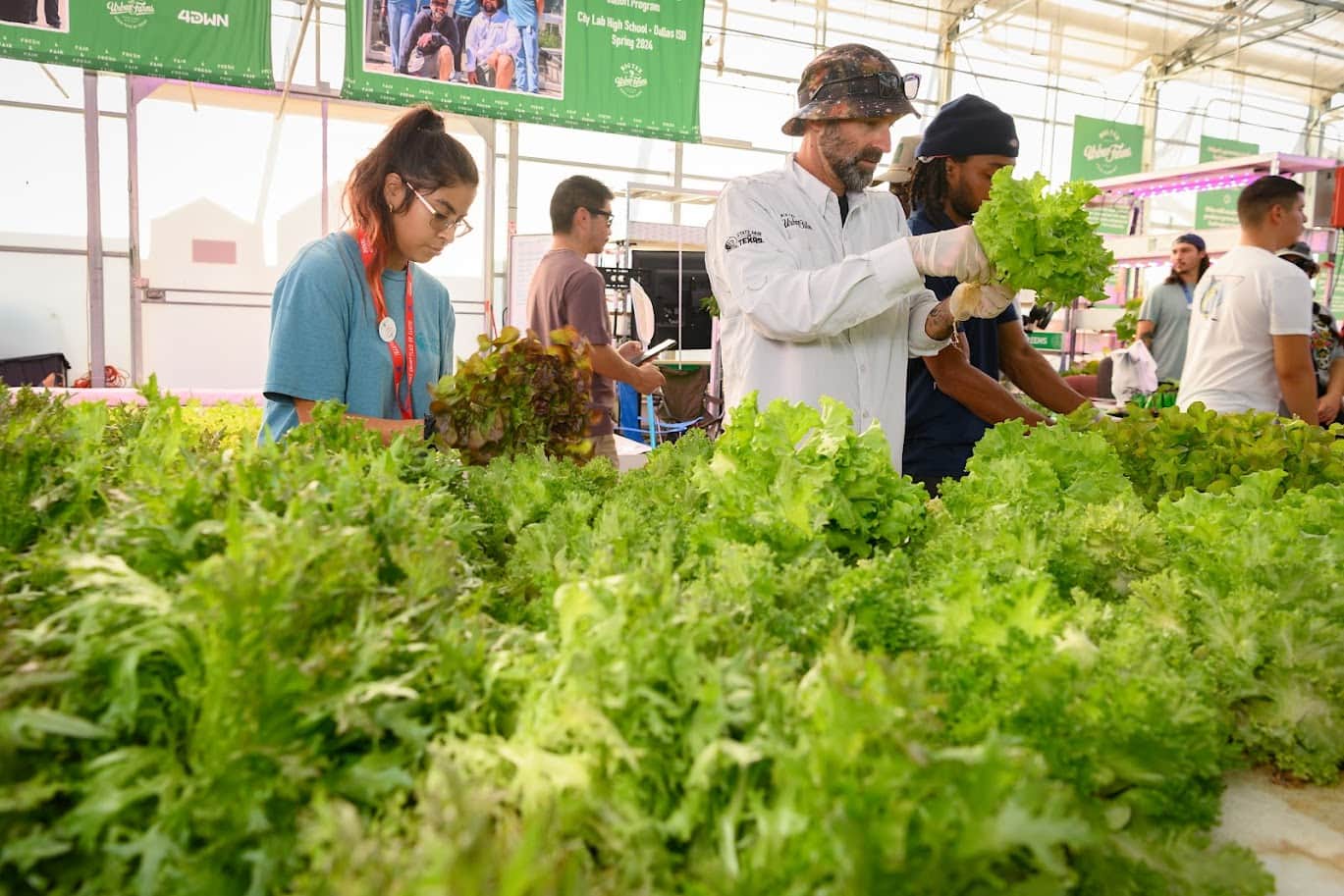 Big Tex Urban Farm workers