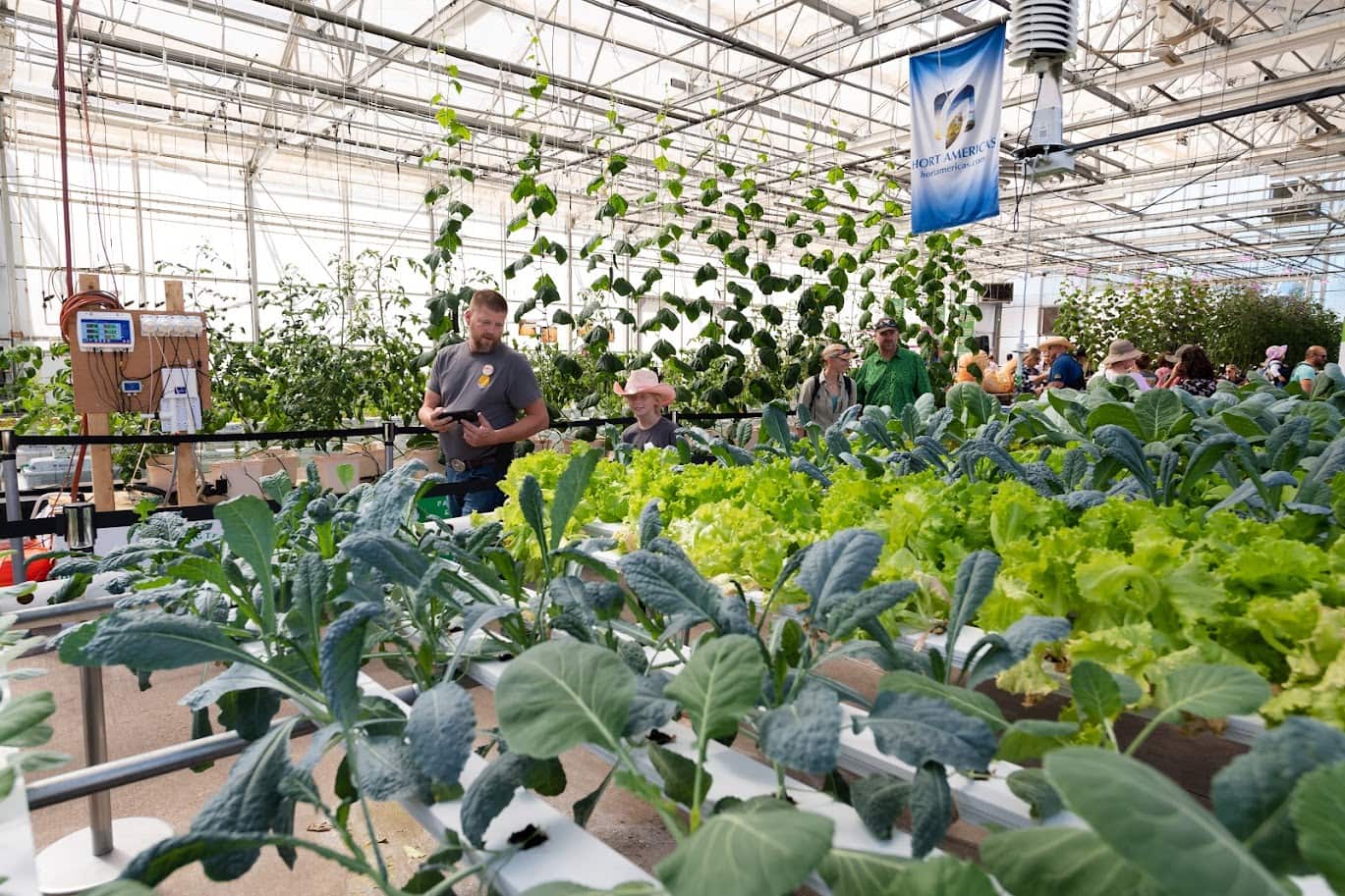 Big Tex Urban Farms greenhouse