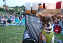 Bark in the Park Back for Shakespeare Dallas Bark in the Park welcomes dogs to Shakespeare Dallas