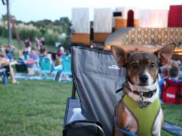 Bark in the Park Back for Shakespeare Dallas Bark in the Park welcomes dogs to Shakespeare Dallas