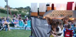 Bark in the Park Back for Shakespeare Dallas Bark in the Park welcomes dogs to Shakespeare Dallas