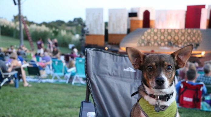 Bark in the Park Back for Shakespeare Dallas Bark in the Park welcomes dogs to Shakespeare Dallas