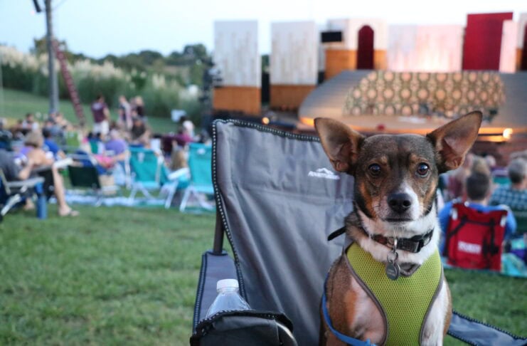 Bark in the Park Back for Shakespeare Dallas Bark in the Park welcomes dogs to Shakespeare Dallas