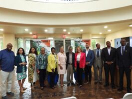 African American Museum, Dallas Unveils Major Renovations African American Museum Dallas & City officials