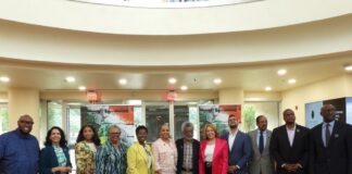 African American Museum, Dallas Unveils Major Renovations African American Museum Dallas & City officials