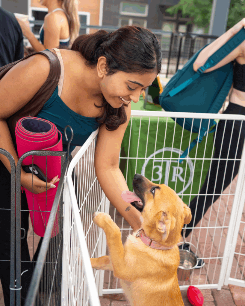 Enjoy Puppies & Pilates at Hilton Anatole July 12