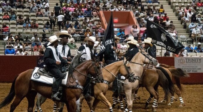 Texas Black Invitational Rodeo at Fair Park Coliseum in Dallas Texas Black Invitational Rodeo Fair Park Coliseum