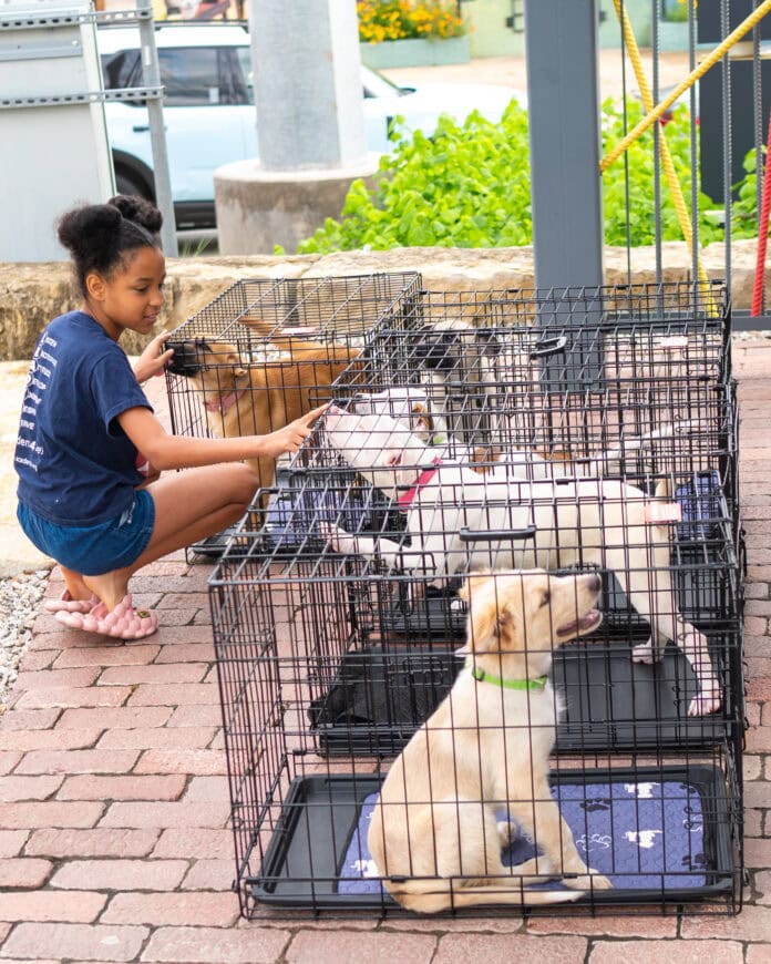 puppies and pilates Puppies & Pilates at Anatole Dallas