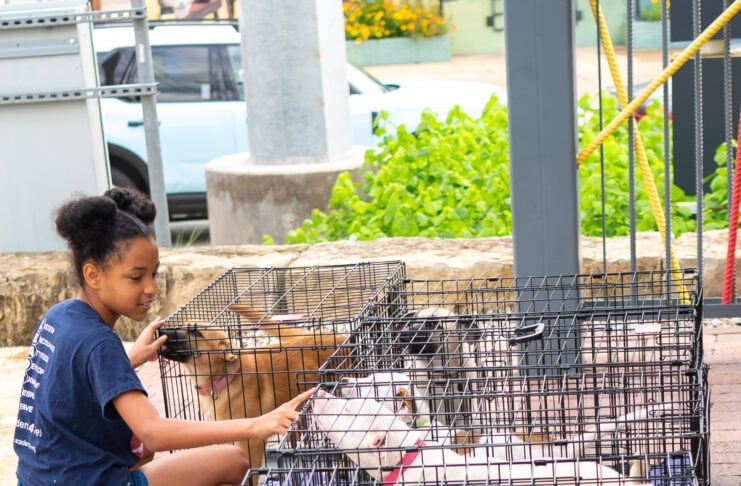 Puppies & Pilates at Anatole Dallas