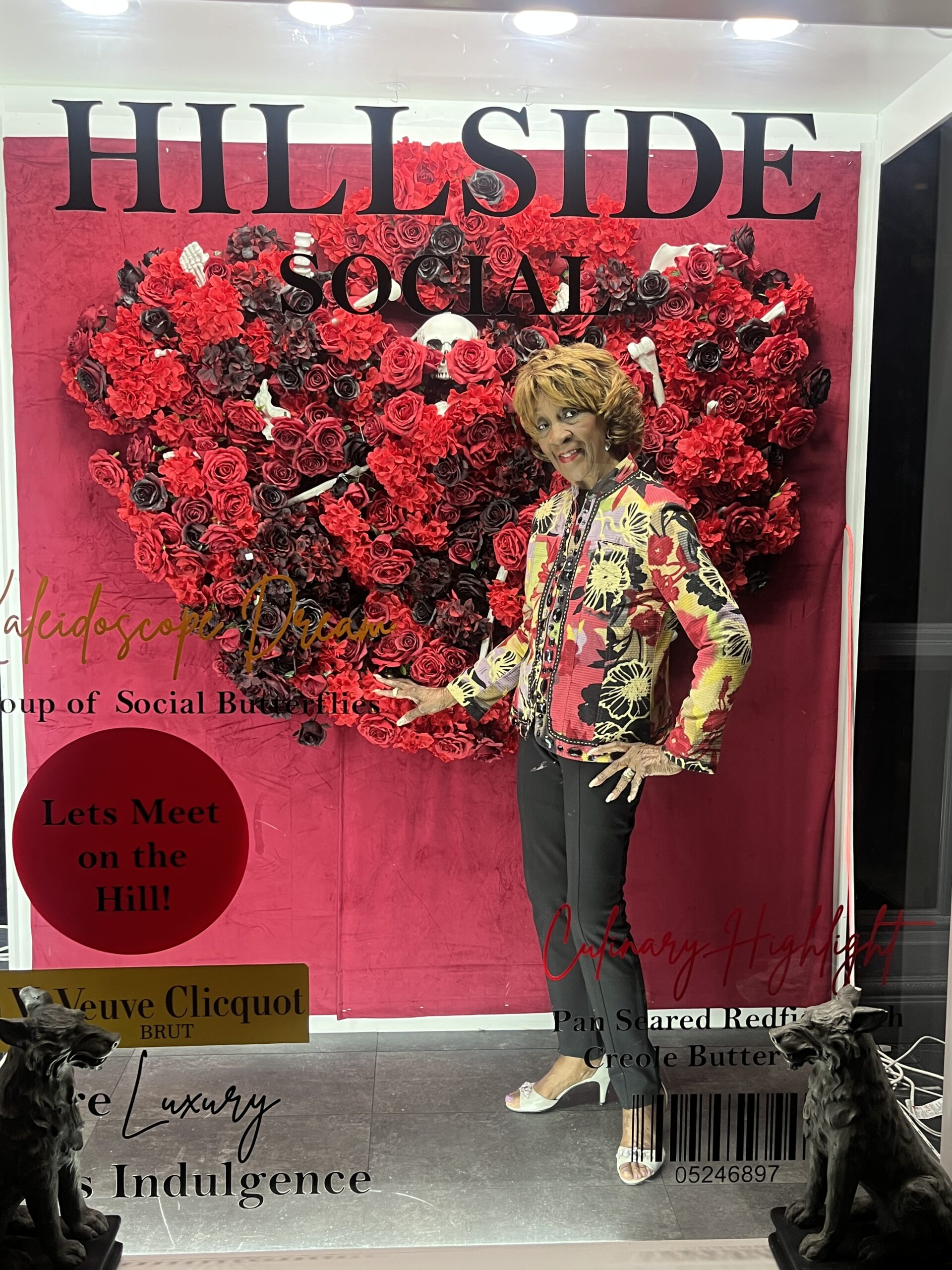 Aida Gibson The Fashion Connection
