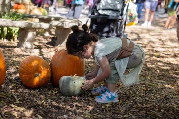 SH - Pumpkin Patch Scarborough's Hollow festival Waxahachie