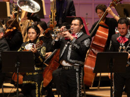 DSO Welcomes Fall Concerts in October DSO Fall concerts Dia de los Muertos
